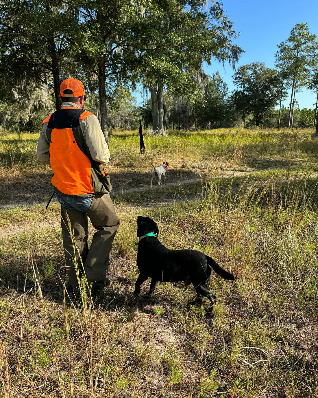 Featured K10 Story! Bottomland Kennels LLC–Florida